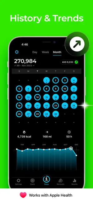 StepsApp Pedometer Screenshot 1
