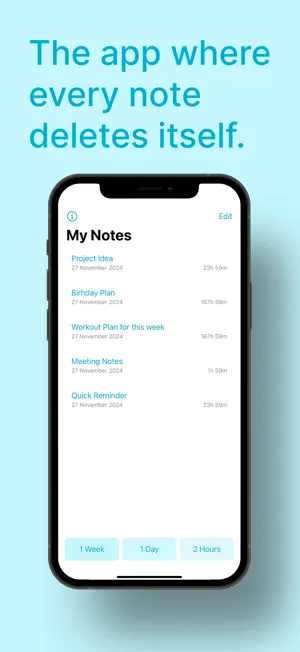 Blip Notes Screenshot 2