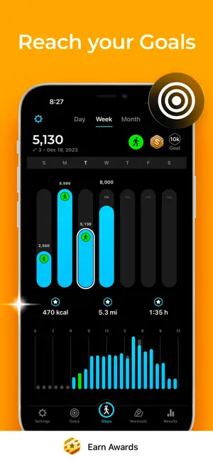 StepsApp Pedometer Screenshot 4