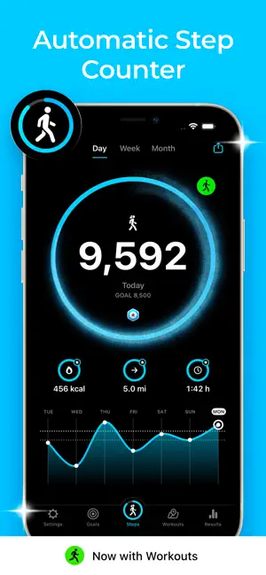 StepsApp Pedometer Screenshot 3