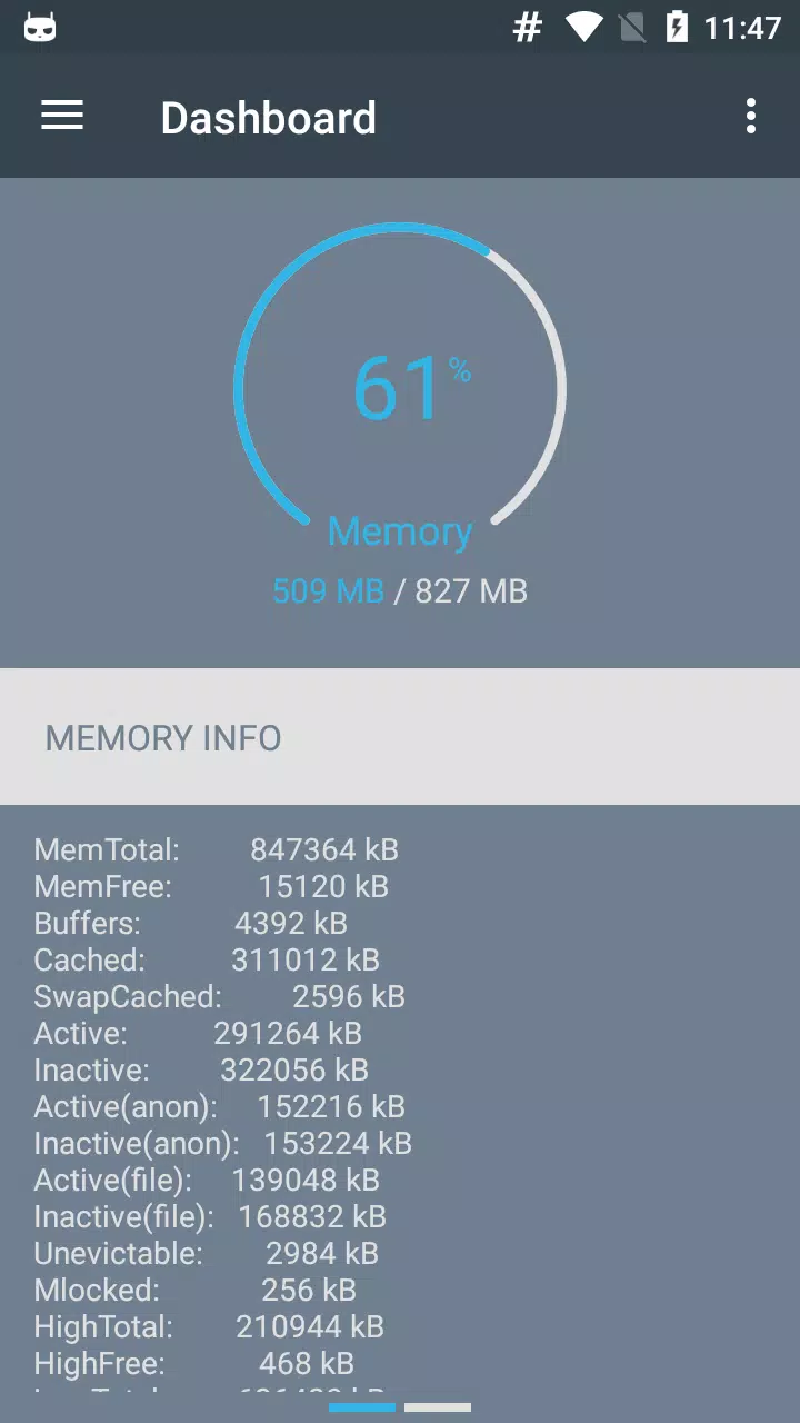 RAM Manager Pro Screenshot 2