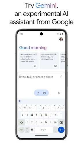 Google Gemini Screenshot 1