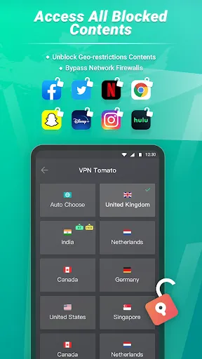 Tomato VPN | VPN Proxy Screenshot 1