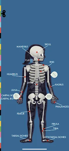 The Human Body by Tinybop Screenshot 1