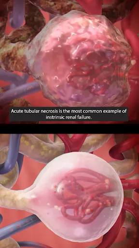 Physiology & Pathology Screenshot 2