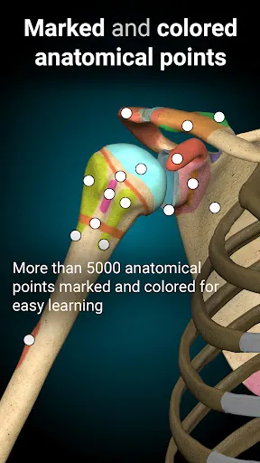 Anatomy Learning - 3D Anatomy Screenshot 2