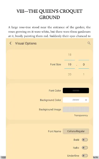 Moon+ Reader Screenshot 2