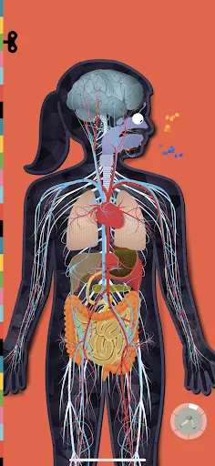 The Human Body by Tinybop Screenshot 2