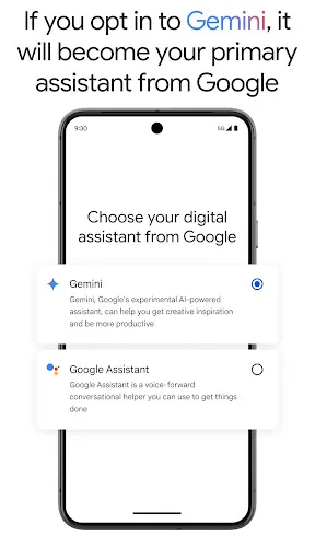 Google Gemini Screenshot 3