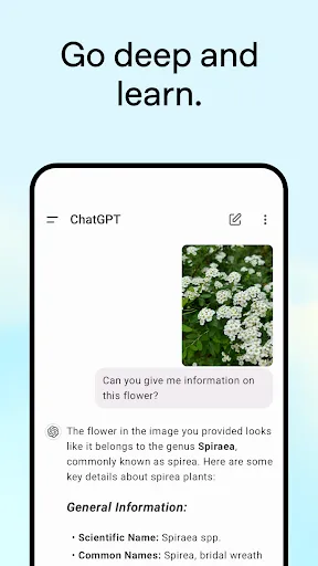 ChatGPT Screenshot 1