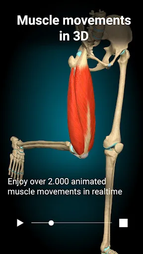 Anatomy Learning - 3D Anatomy Screenshot 5