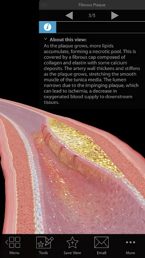 Physiology & Pathology Screenshot 4