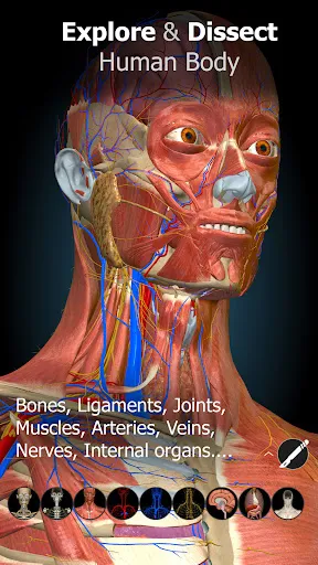 Anatomy Learning - 3D Anatomy Screenshot 3