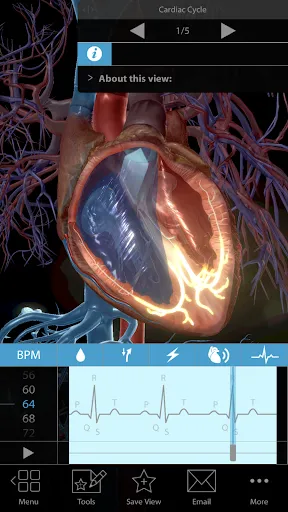 Medication Reminder & Tracker Screenshot 4