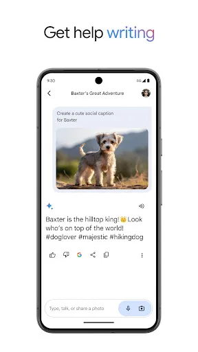 Google Gemini Screenshot 4