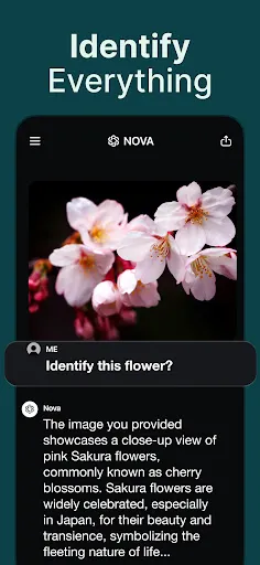 AI Chatbot - Nova Screenshot 5