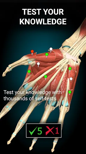 Anatomy Learning - 3D Anatomy Screenshot 4