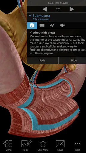 Physiology & Pathology Screenshot 5