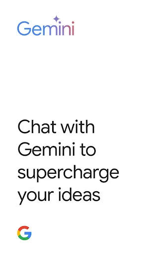 Google Gemini Screenshot 5