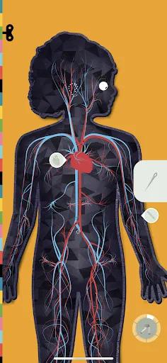 The Human Body by Tinybop Screenshot 4